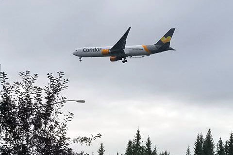 Flight of the Condor